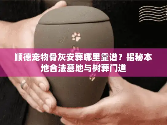 顺德宠物骨灰安葬哪里靠谱？揭秘本地合法墓地与树葬门道