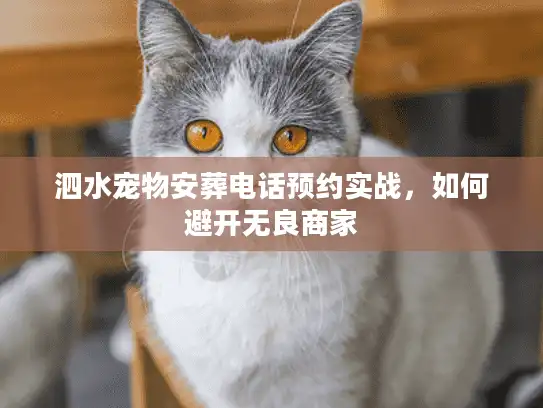 泗水宠物安葬电话预约实战，如何避开无良商家