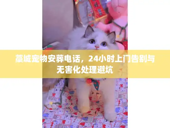 藁城宠物安葬电话，24小时上门告别与无害化处理避坑
