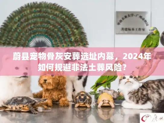 蔚县宠物骨灰安葬选址内幕，2024年如何规避非法土葬风险？