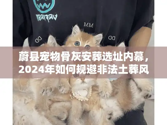 蔚县宠物骨灰安葬选址内幕，2024年如何规避非法土葬风险？