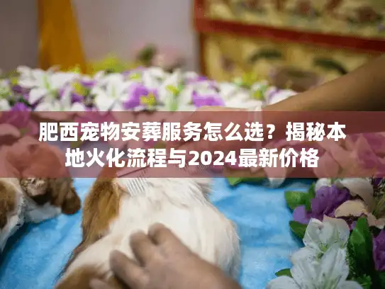 肥西宠物安葬服务怎么选？揭秘本地火化流程与2024最新价格