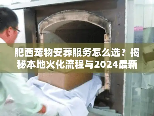 肥西宠物安葬服务怎么选？揭秘本地火化流程与2024最新价格