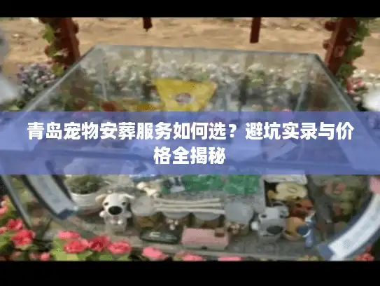 青岛宠物安葬服务如何选？避坑实录与价格全揭秘