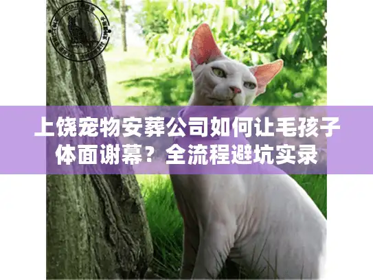 上饶宠物安葬公司如何让毛孩子体面谢幕？全流程避坑实录