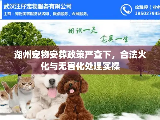 湖州宠物安葬政策严查下，合法火化与无害化处理实操