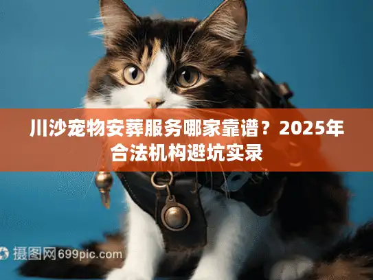 川沙宠物安葬服务哪家靠谱？2025年合法机构避坑实录