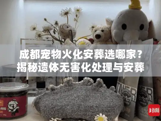 成都宠物火化安葬选哪家？揭秘遗体无害化处理与安葬地