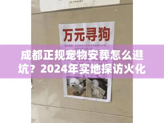 成都正规宠物安葬怎么避坑？2024年实地探访火化流程与价格内幕