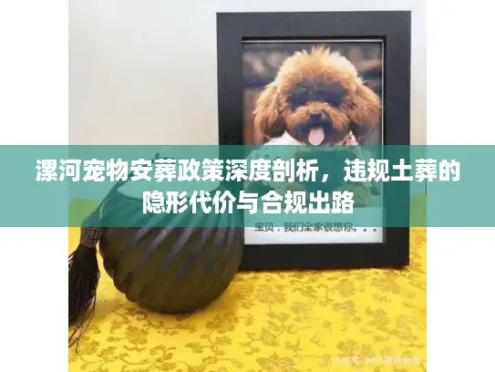 漯河宠物安葬政策深度剖析，违规土葬的隐形代价与合规出路