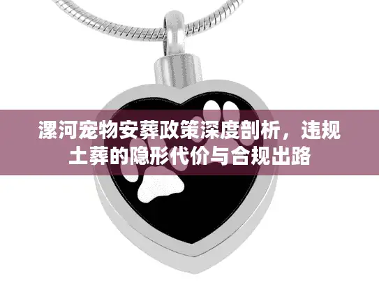 漯河宠物安葬政策深度剖析，违规土葬的隐形代价与合规出路