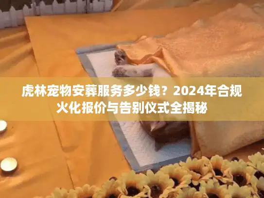 虎林宠物安葬服务多少钱？2024年合规火化报价与告别仪式全揭秘