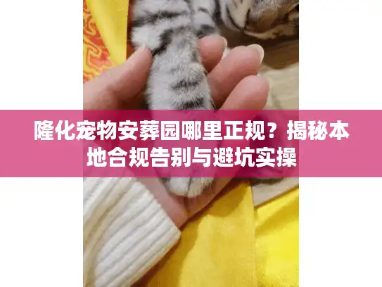 隆化宠物安葬园哪里正规？揭秘本地合规告别与避坑实操