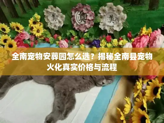 全南宠物安葬园怎么选？揭秘全南县宠物火化真实价格与流程