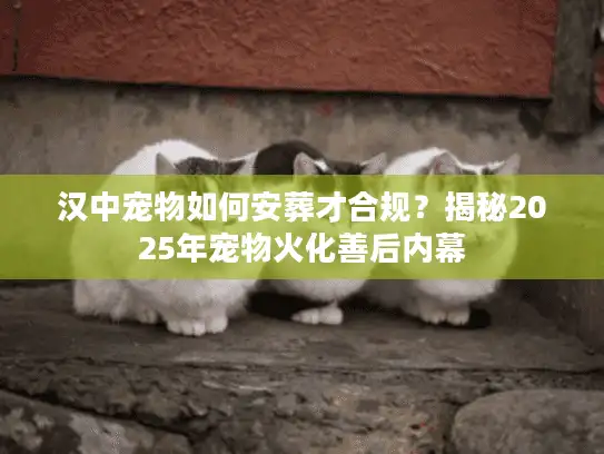 汉中宠物如何安葬才合规？揭秘2025年宠物火化善后内幕