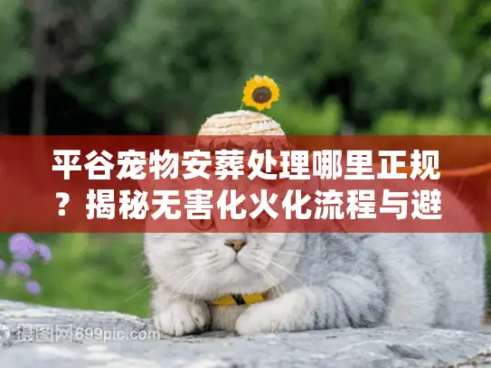 平谷宠物安葬处理哪里正规？揭秘无害化火化流程与避坑实录