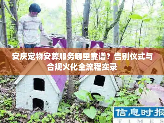 安庆宠物安葬服务哪里靠谱？告别仪式与合规火化全流程实录