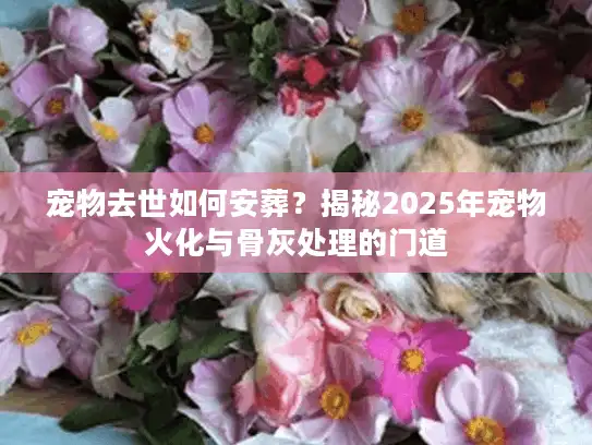 宠物去世如何安葬？揭秘2025年宠物火化与骨灰处理的门道