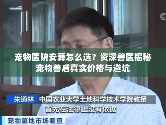 宠物医院安葬怎么选？资深兽医揭秘宠物善后真实价格与避坑