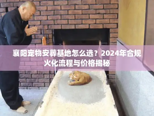 襄阳宠物安葬基地怎么选？2024年合规火化流程与价格揭秘