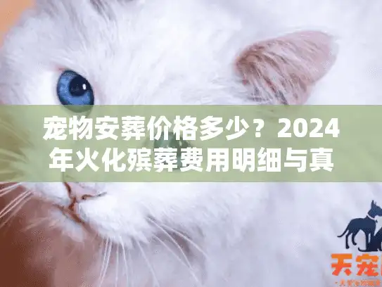 宠物安葬价格多少？2024年火化殡葬费用明细与真实报价单