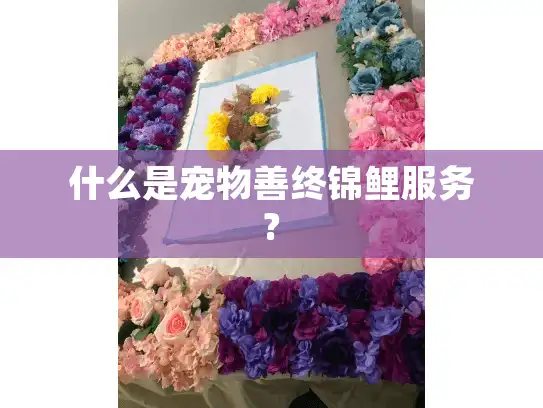 什么是宠物善终锦鲤服务?