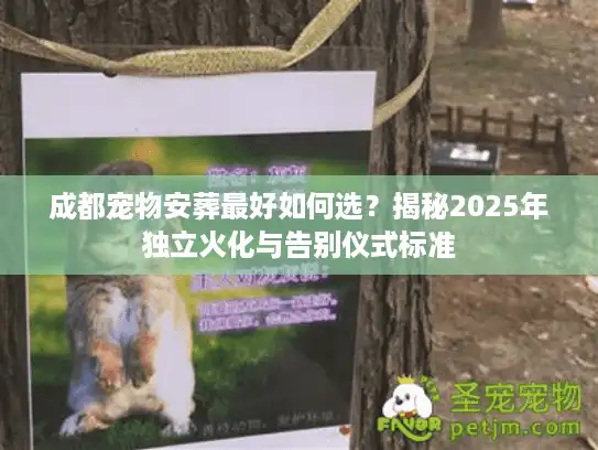 成都宠物安葬最好如何选？揭秘2025年独立火化与告别仪式标准