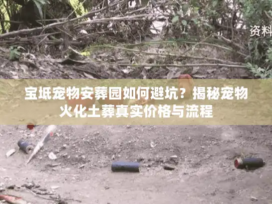 宝坻宠物安葬园如何避坑？揭秘宠物火化土葬真实价格与流程