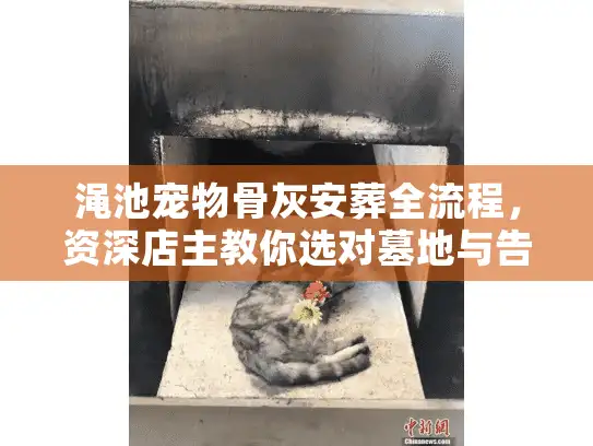 渑池宠物骨灰安葬全流程，资深店主教你选对墓地与告别仪式