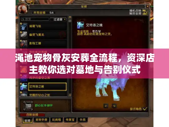 渑池宠物骨灰安葬全流程，资深店主教你选对墓地与告别仪式
