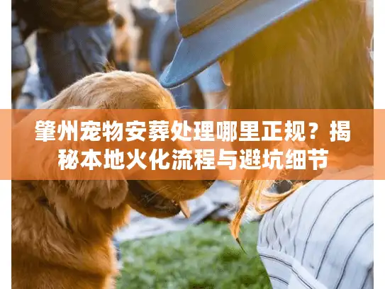 肇州宠物安葬处理哪里正规？揭秘本地火化流程与避坑细节