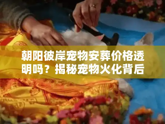 朝阳彼岸宠物安葬价格透明吗？揭秘宠物火化背后的真实门道