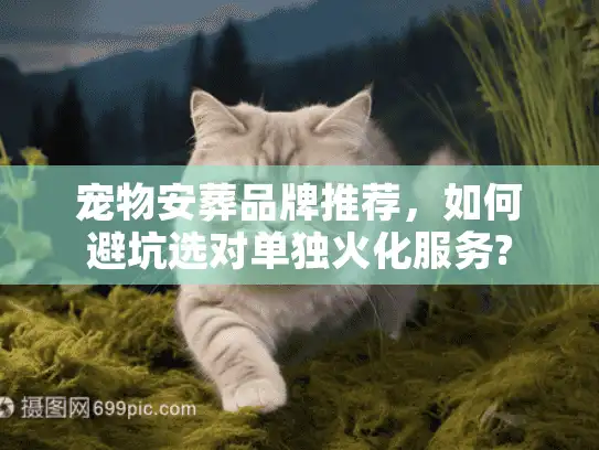 宠物安葬品牌推荐，如何避坑选对单独火化服务?