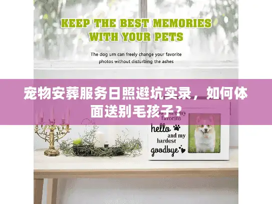 宠物安葬服务日照避坑实录，如何体面送别毛孩子？