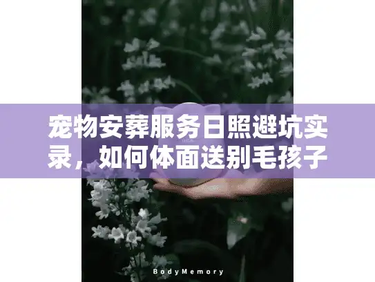 宠物安葬服务日照避坑实录，如何体面送别毛孩子？