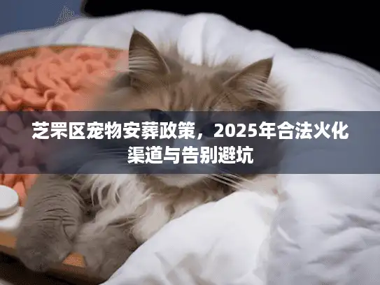 芝罘区宠物安葬政策，2025年合法火化渠道与告别避坑