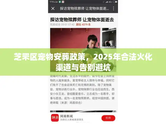 芝罘区宠物安葬政策，2025年合法火化渠道与告别避坑