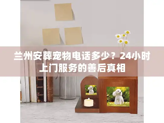 兰州安葬宠物电话多少？24小时上门服务的善后真相