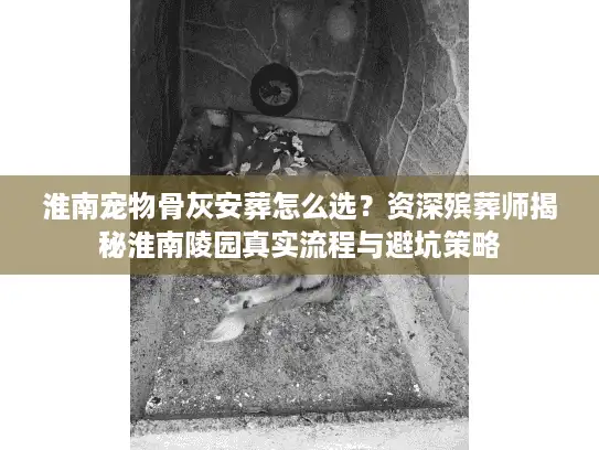 淮南宠物骨灰安葬怎么选？资深殡葬师揭秘淮南陵园真实流程与避坑策略