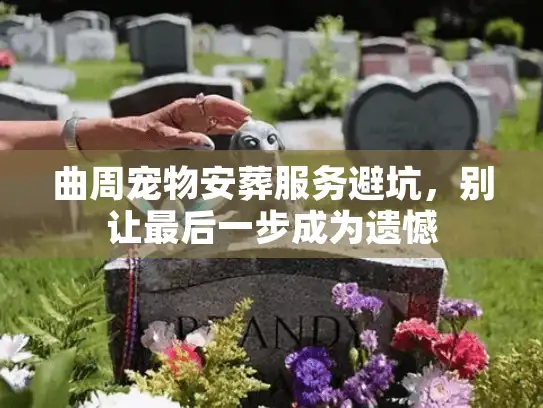 曲周宠物安葬服务避坑，别让最后一步成为遗憾