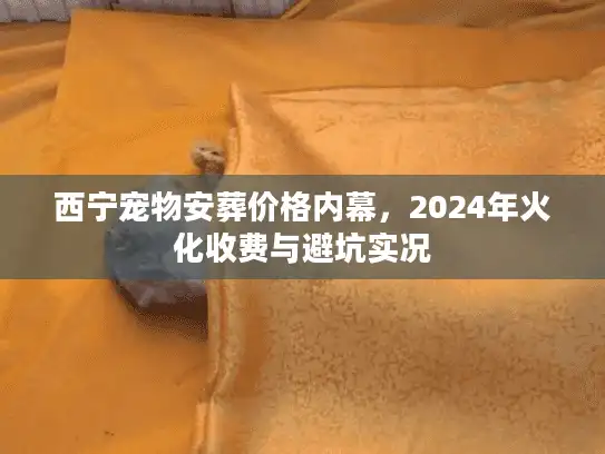 西宁宠物安葬价格内幕，2024年火化收费与避坑实况
