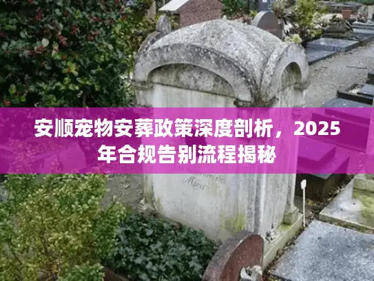安顺宠物安葬政策深度剖析，2025年合规告别流程揭秘