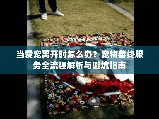 当爱宠离开时怎么办？宠物善终服务全流程解析与避坑指南
