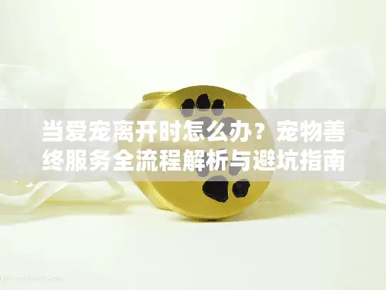当爱宠离开时怎么办？宠物善终服务全流程解析与避坑指南