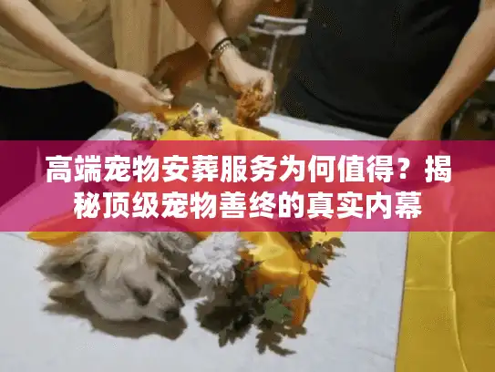 高端宠物安葬服务为何值得？揭秘顶级宠物善终的真实内幕