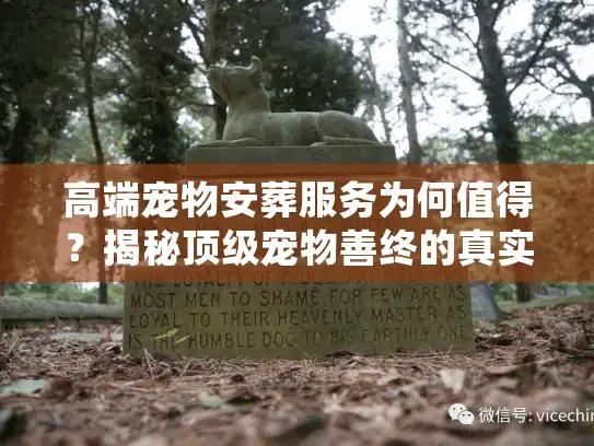 高端宠物安葬服务为何值得？揭秘顶级宠物善终的真实内幕