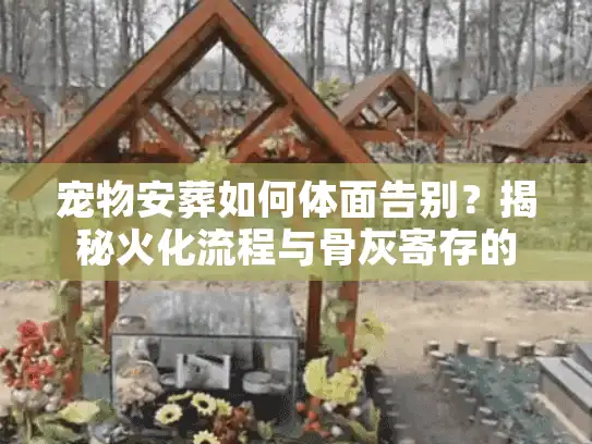 宠物安葬如何体面告别？揭秘火化流程与骨灰寄存的真实价格