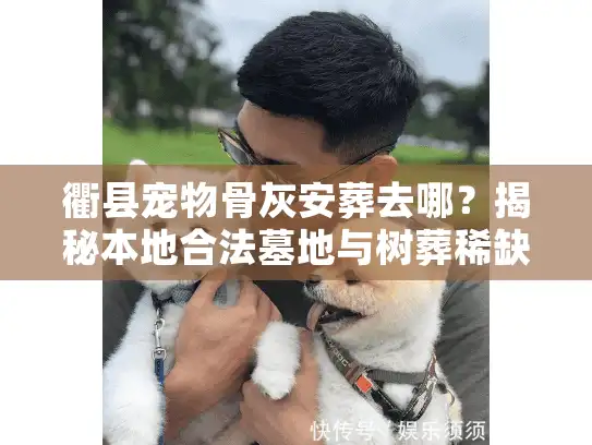 衢县宠物骨灰安葬去哪？揭秘本地合法墓地与树葬稀缺价格
