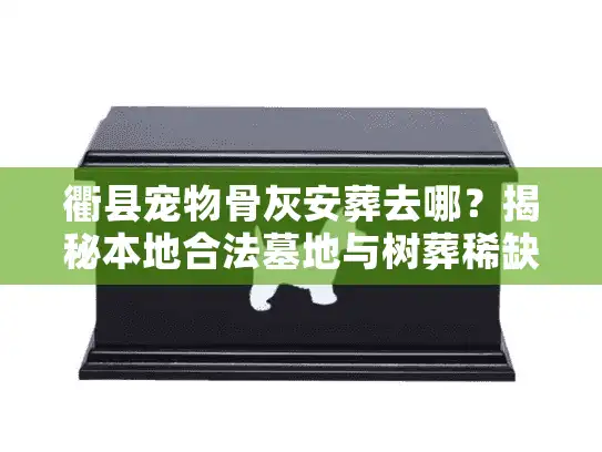衢县宠物骨灰安葬去哪？揭秘本地合法墓地与树葬稀缺价格