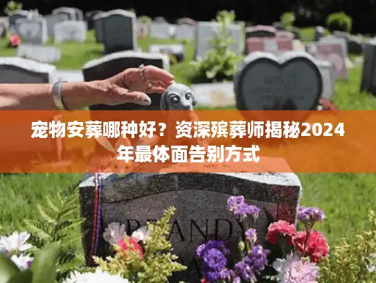 宠物安葬哪种好？资深殡葬师揭秘2024年最体面告别方式